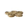 Glasamotta Collette