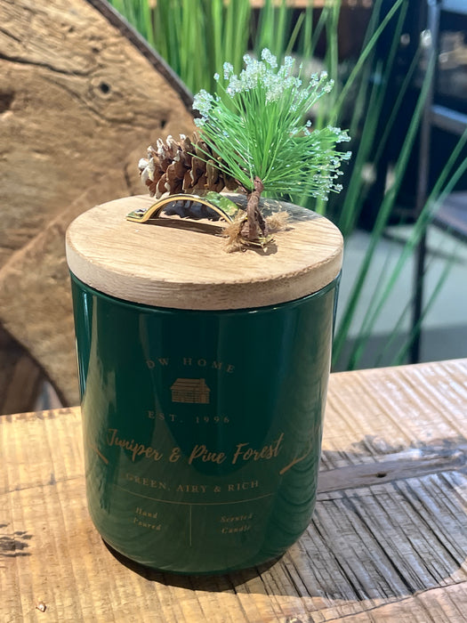 Juniper&Pine Forrest