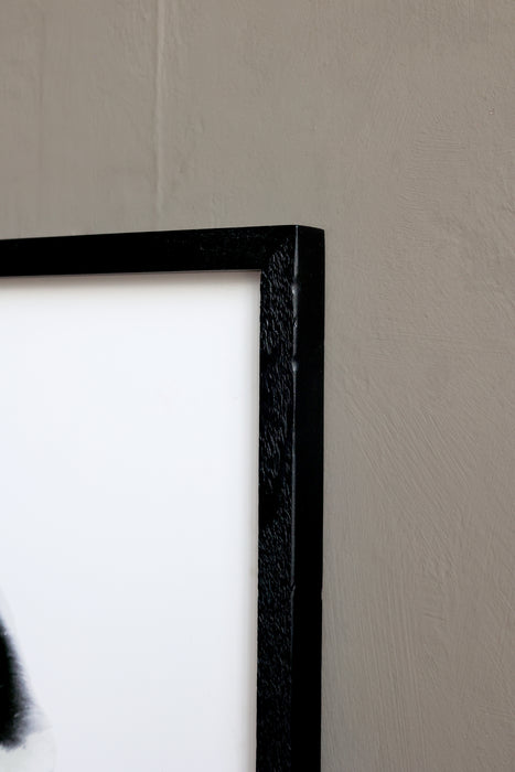 Mynd í járnramma fjöður 91 cm