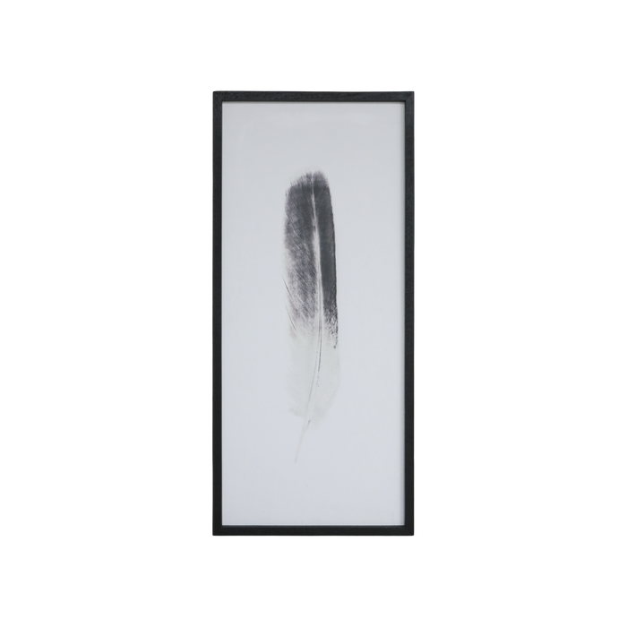Mynd í járnramma fjöður 91 cm