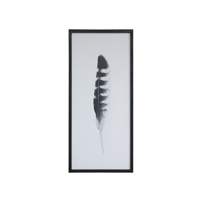 Mynd í járnramma fjöður 91 cm