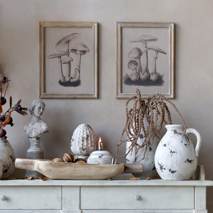 Mynd í ramma sveppir