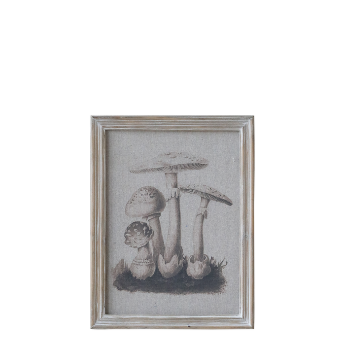 Mynd í ramma sveppir