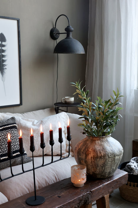 Ólífutré millistærð