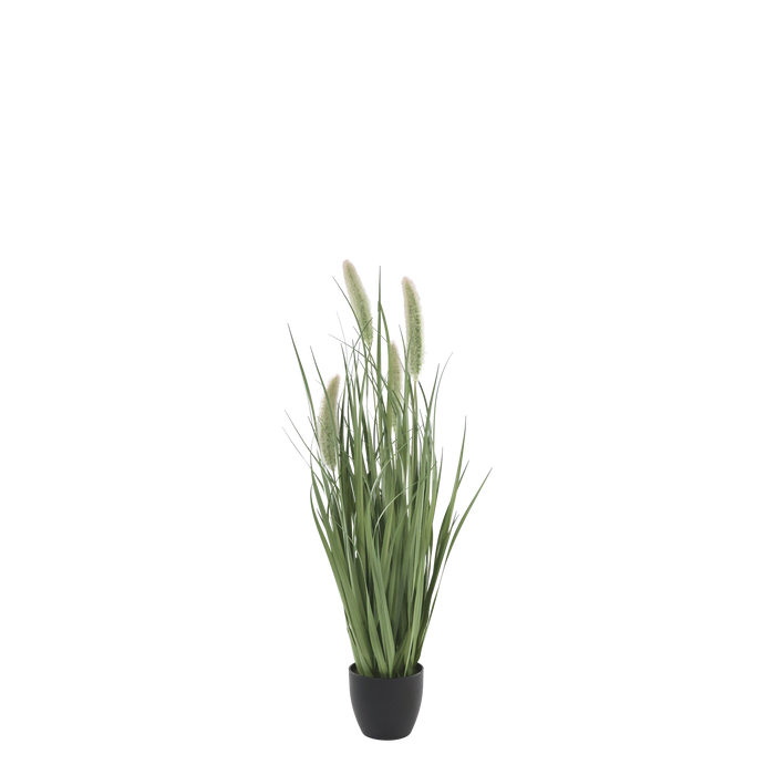 Fleur Reed planta með refaskotti 90 cm