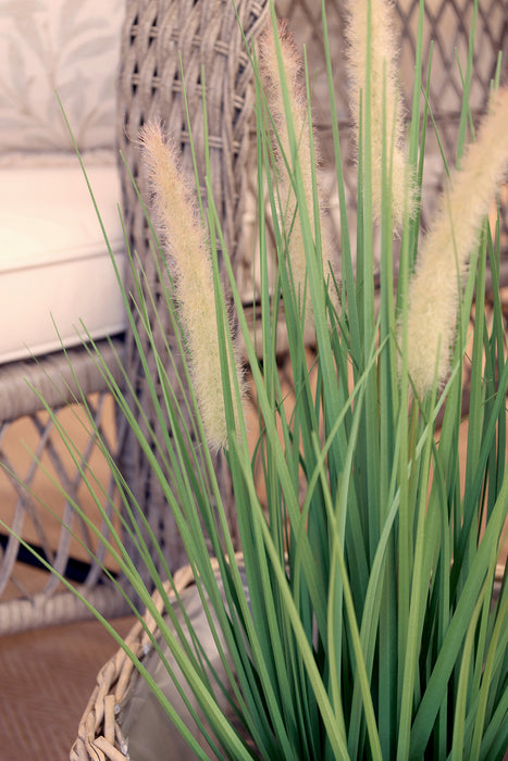 Fleur Reed planta með refaskotti 90 cm