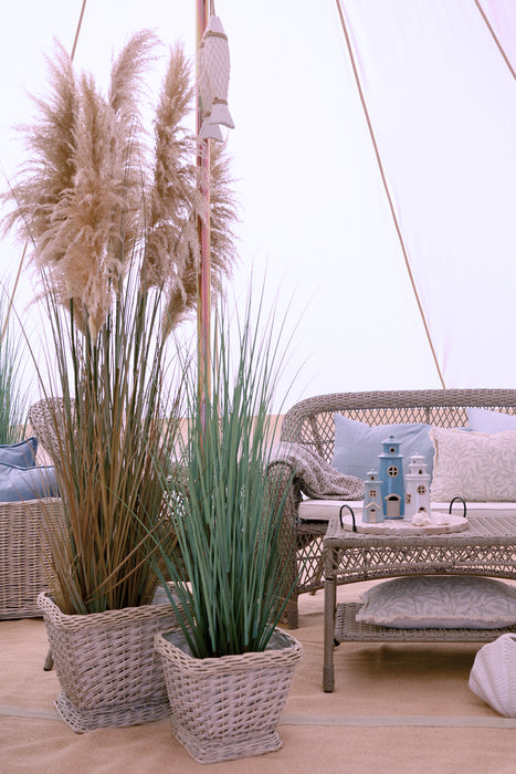 Fleur Reed planta H150cm