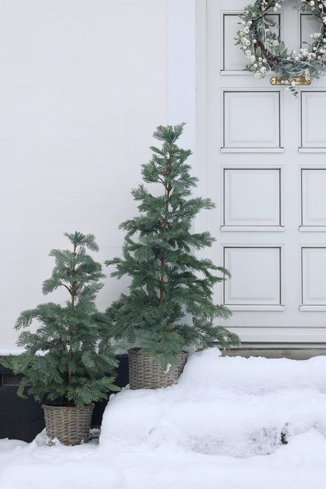 Furutré í körfu með 60 led ljósum