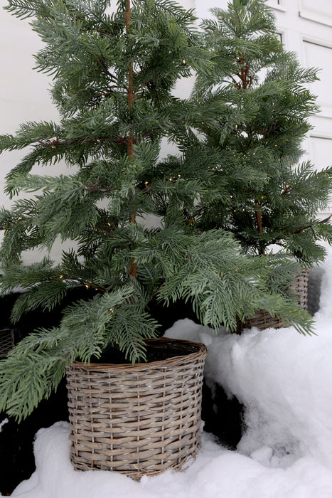 Furutré í körfu með 60 led ljósum