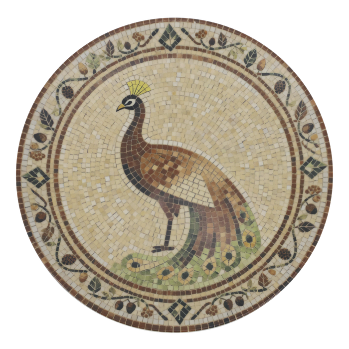 Chartres páfugladiskur