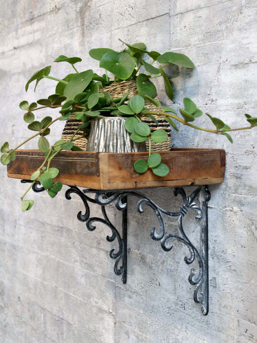 Hilluberi "Fleur de lis"