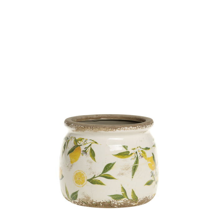 Sítrónupottur miðstærð