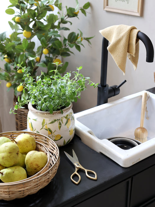 Sítrónupottur miðstærð