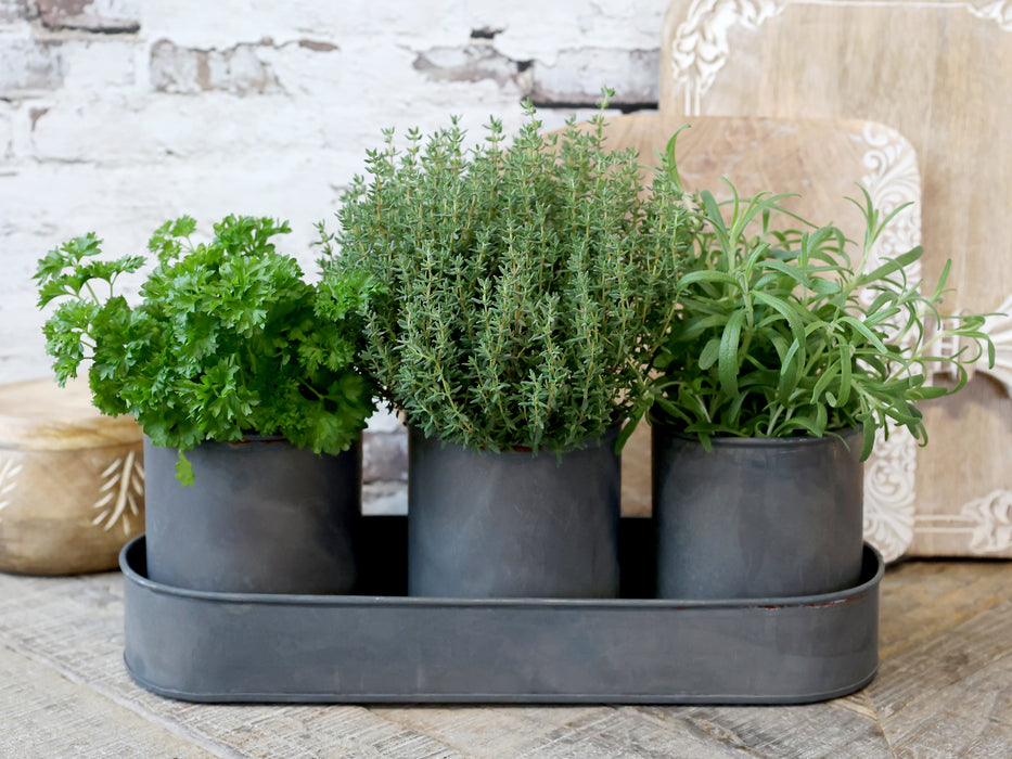 Blómapottur 3 saman á bakka Zink