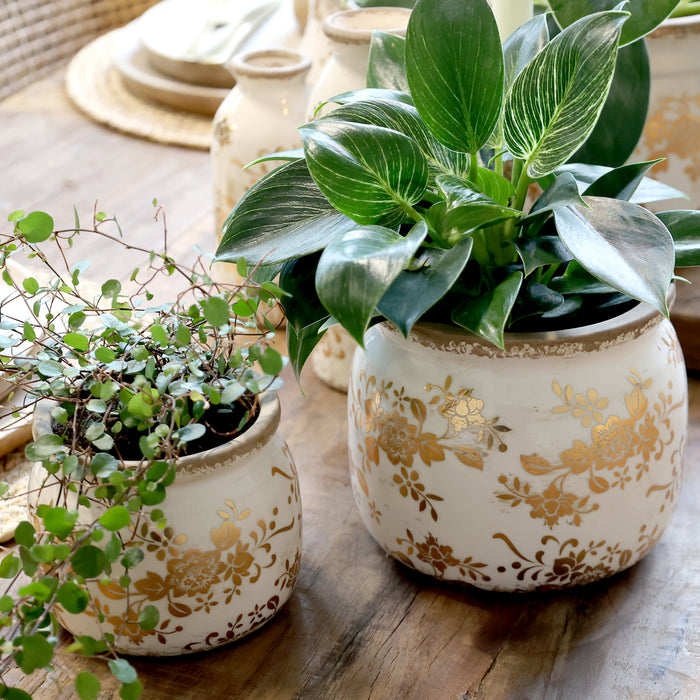 Afmælisútgáfa Melun blómapottur m gyllingu