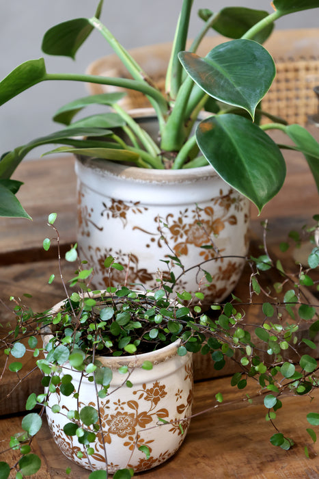 Afmælisútgáfa Melun blómapottur m gyllingu