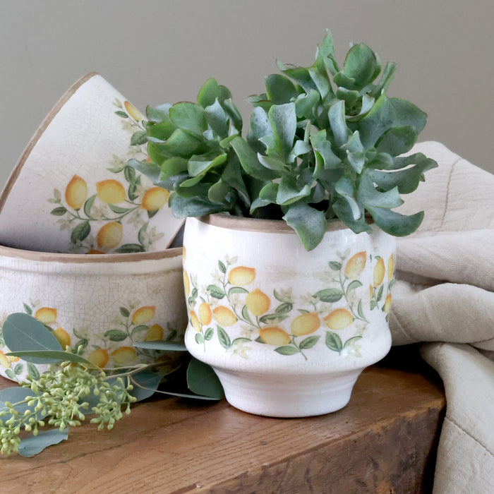 Sítrònupottur Limone