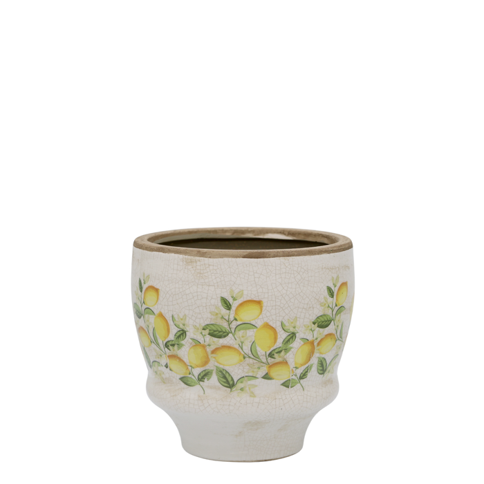 Sítrònupottur Limone