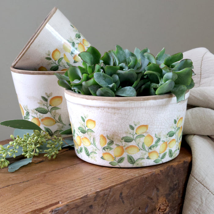 Sítrònupottur Limone