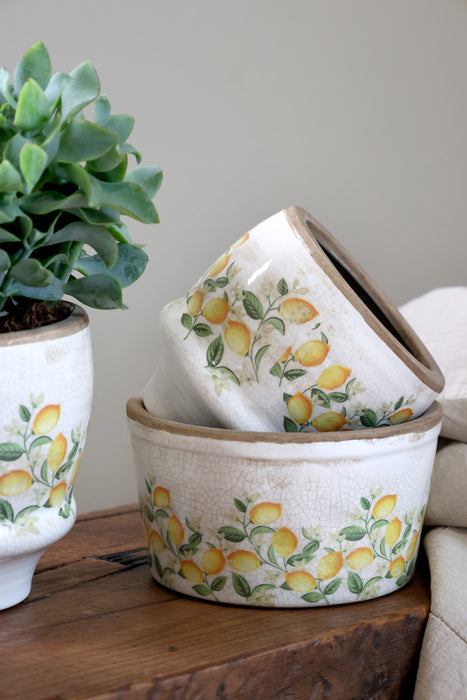 Sítrònupottur Limone