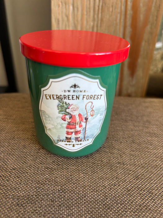 Evergreen Forest - lítið