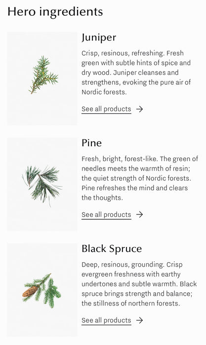 PINE FOREST viðarilmstangir í glerglasi 100 ml
