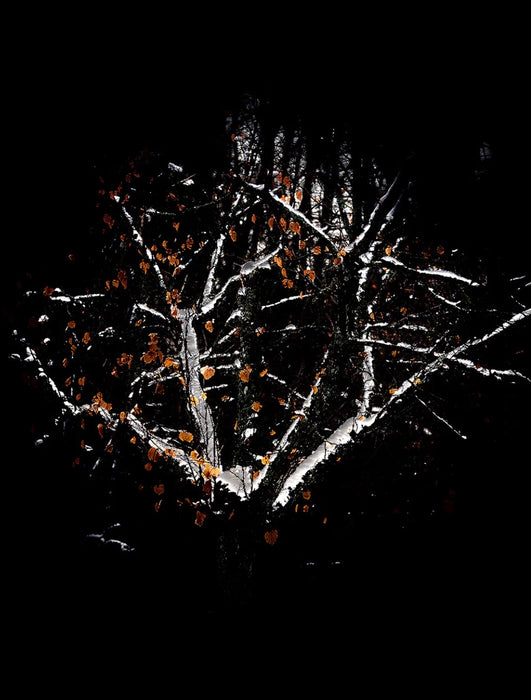 KALEVALA ilmstangir í glerglasi 100 ml