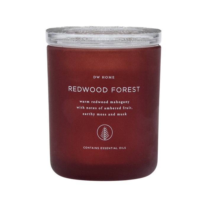 REDWOOD FOREST